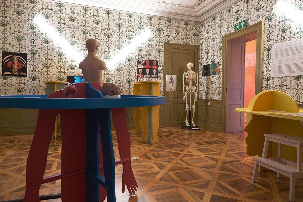 anatomie moderne