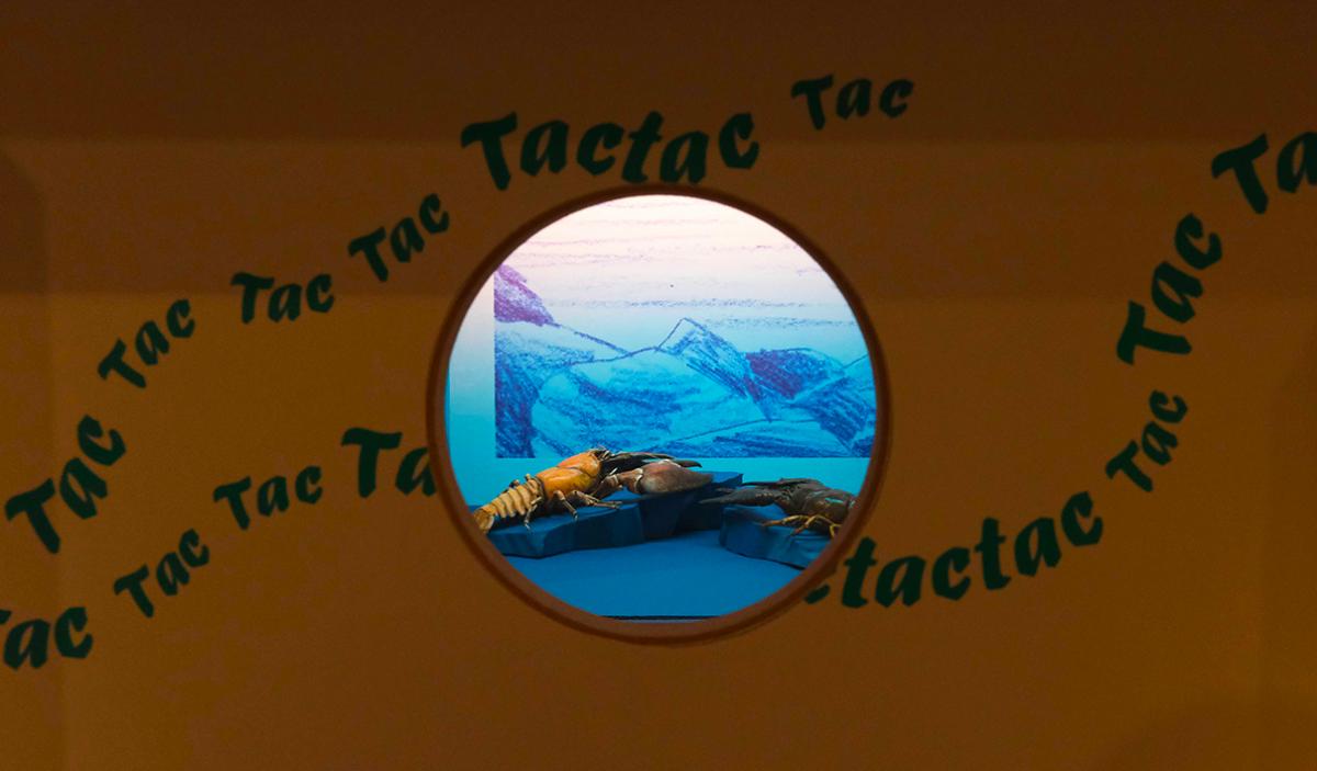 écrevisses américain et à pattes rouges