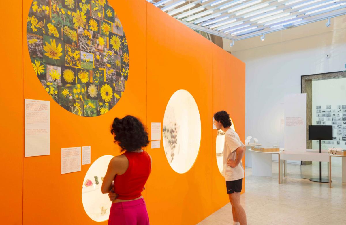 intro biogéodiversité