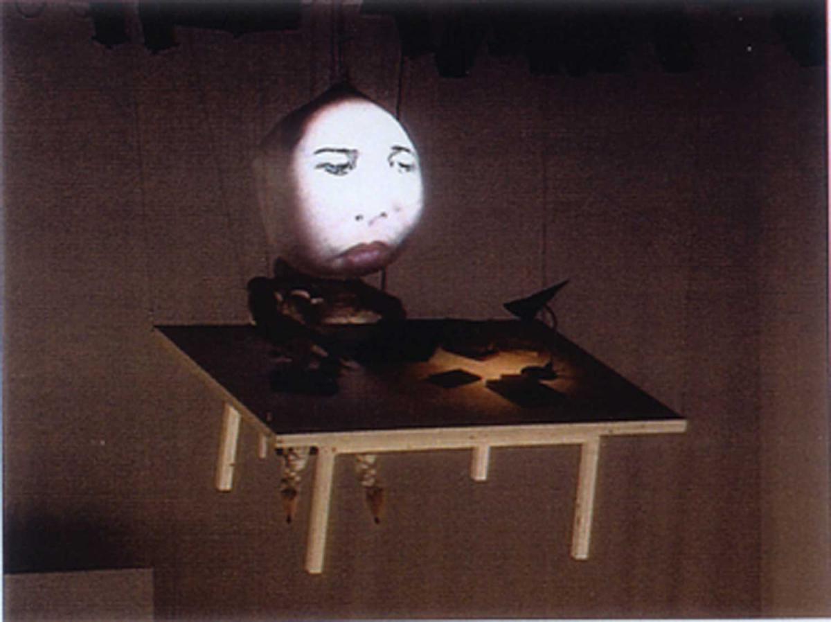 l' auteur