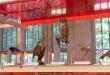 listes rouges
